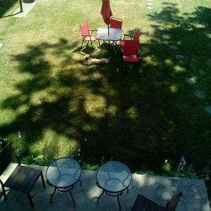 Meet your Posher, Trinity